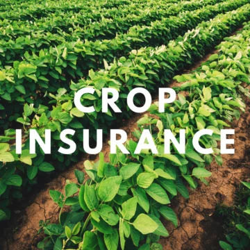 Crop Insurance Kenya, CIC, APA, Britam, Old Mutual, Heritage