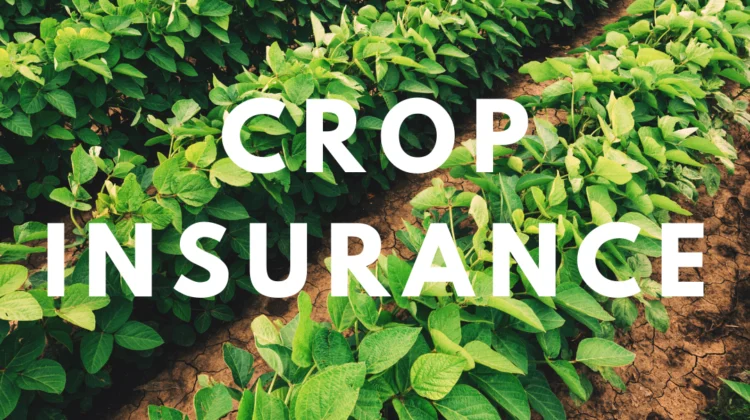 Crop Insurance Kenya, CIC, APA, Britam, Old Mutual, Heritage